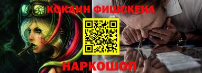 крисы Пенза