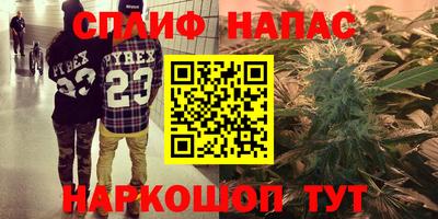 крисы Пенза