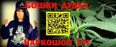 крисы Пенза