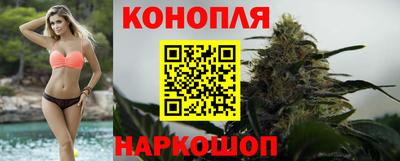 крисы Пенза
