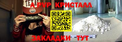 крисы Пенза