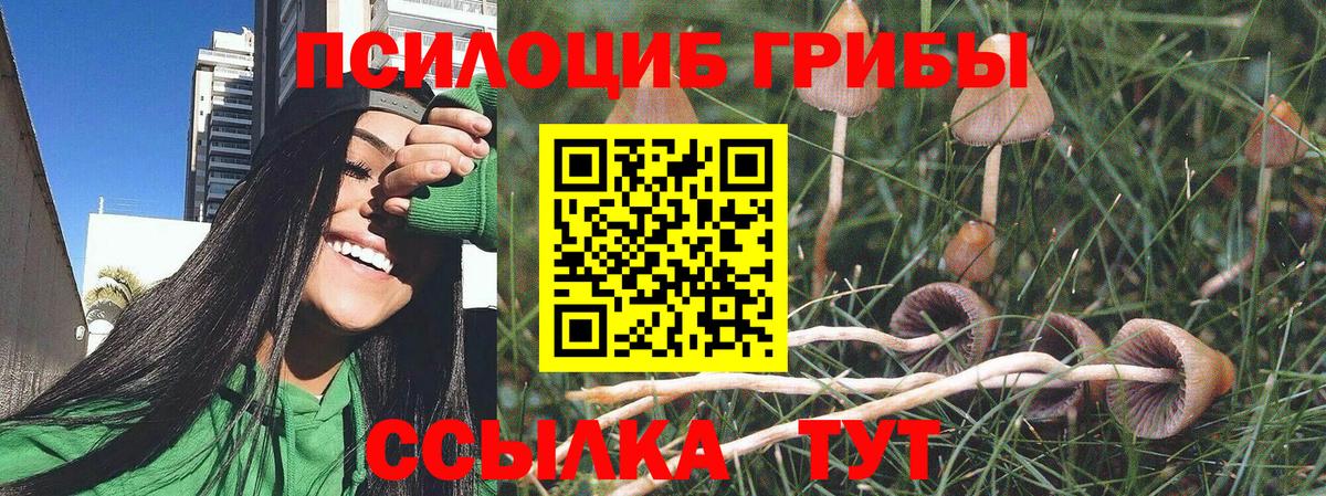 Галлюциногенные грибы прущие грибы Ессентуки