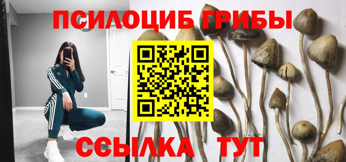 Галлюциногенные грибы Psilocybine cubensis  закладки  Ессентуки  Псилоцибиновые грибы Psilocybine cubensis  Вход с VPN 